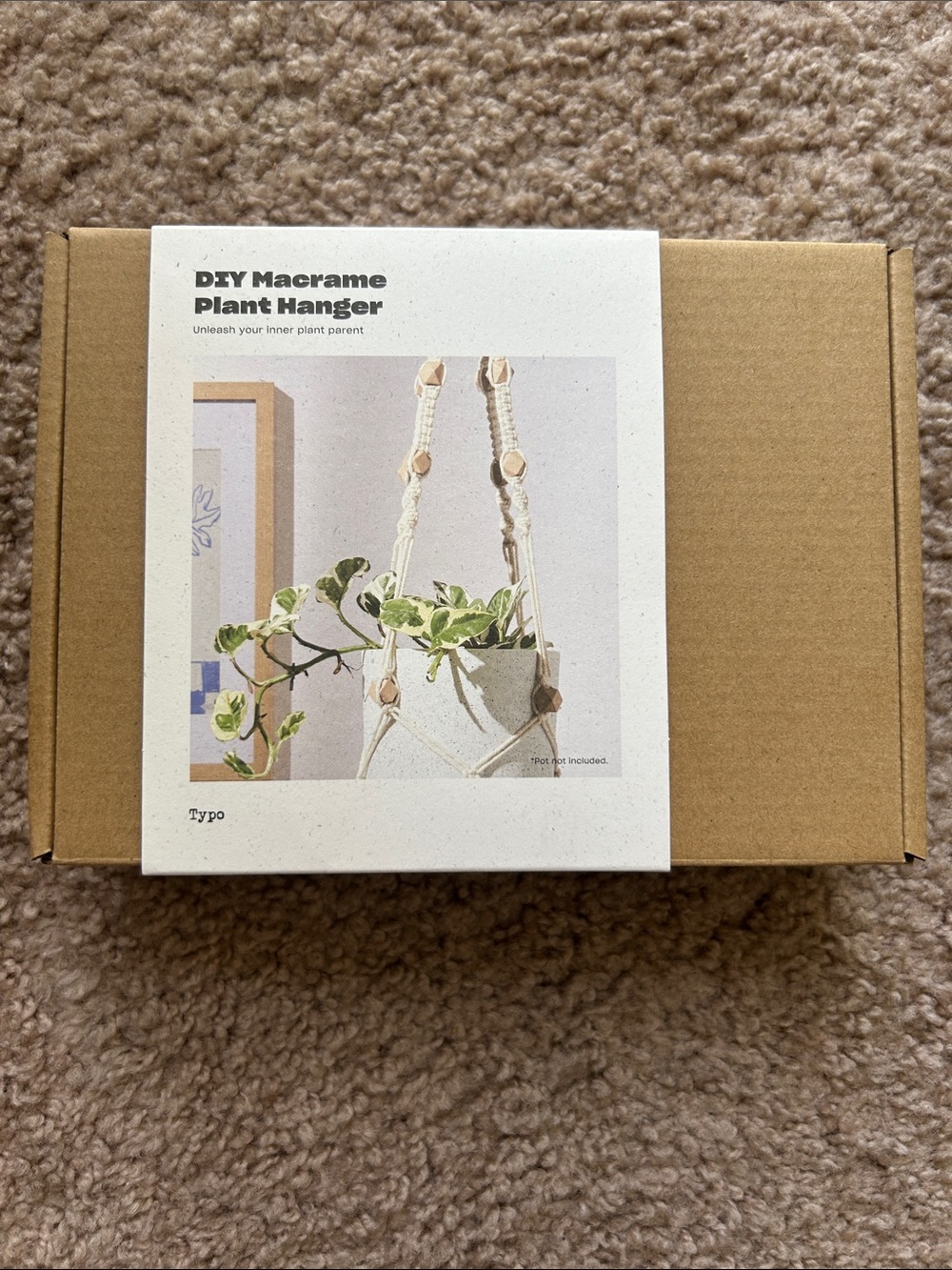 DIY Macrame Plant Hanger - Cream